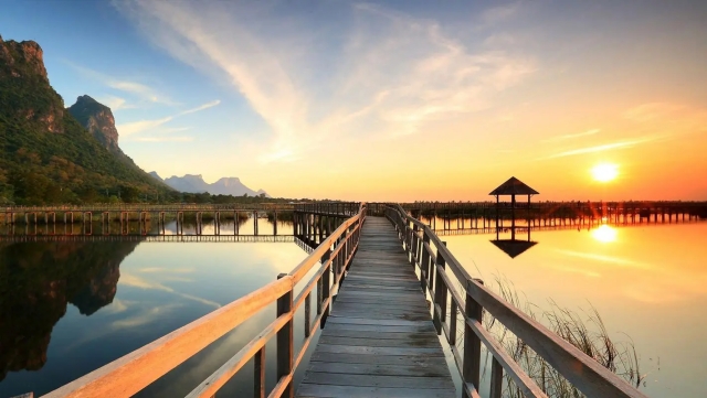 直播行业的前景和现状？